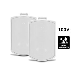 Rain 8 100V