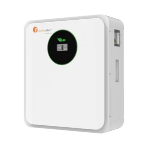Felicity Solar FLA 24100 2.56 kWh Battery