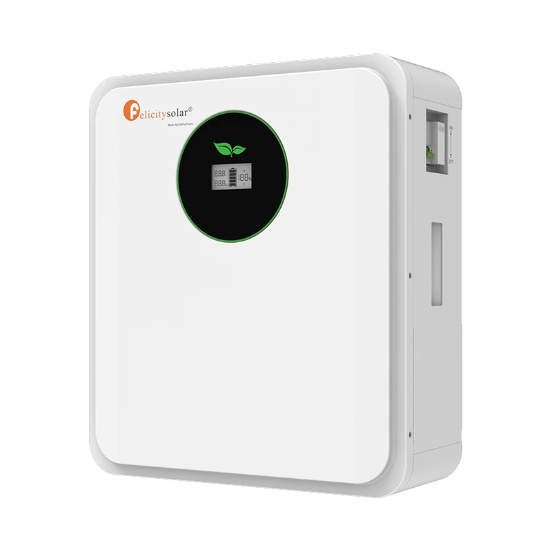 Felicity Solar FLA 24100 2.56 kWh Battery