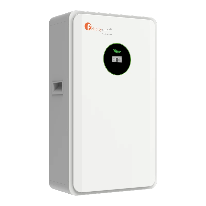 Felicity Solar FLA 48250 12.5 kWh Battery