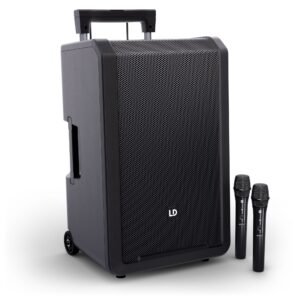 LD Systems ANNY® 12 HHD2 B5