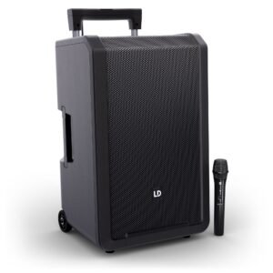 LD Systems ANNY® 12 HHD B5