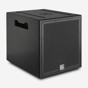 RFS 12 professional subwoofer