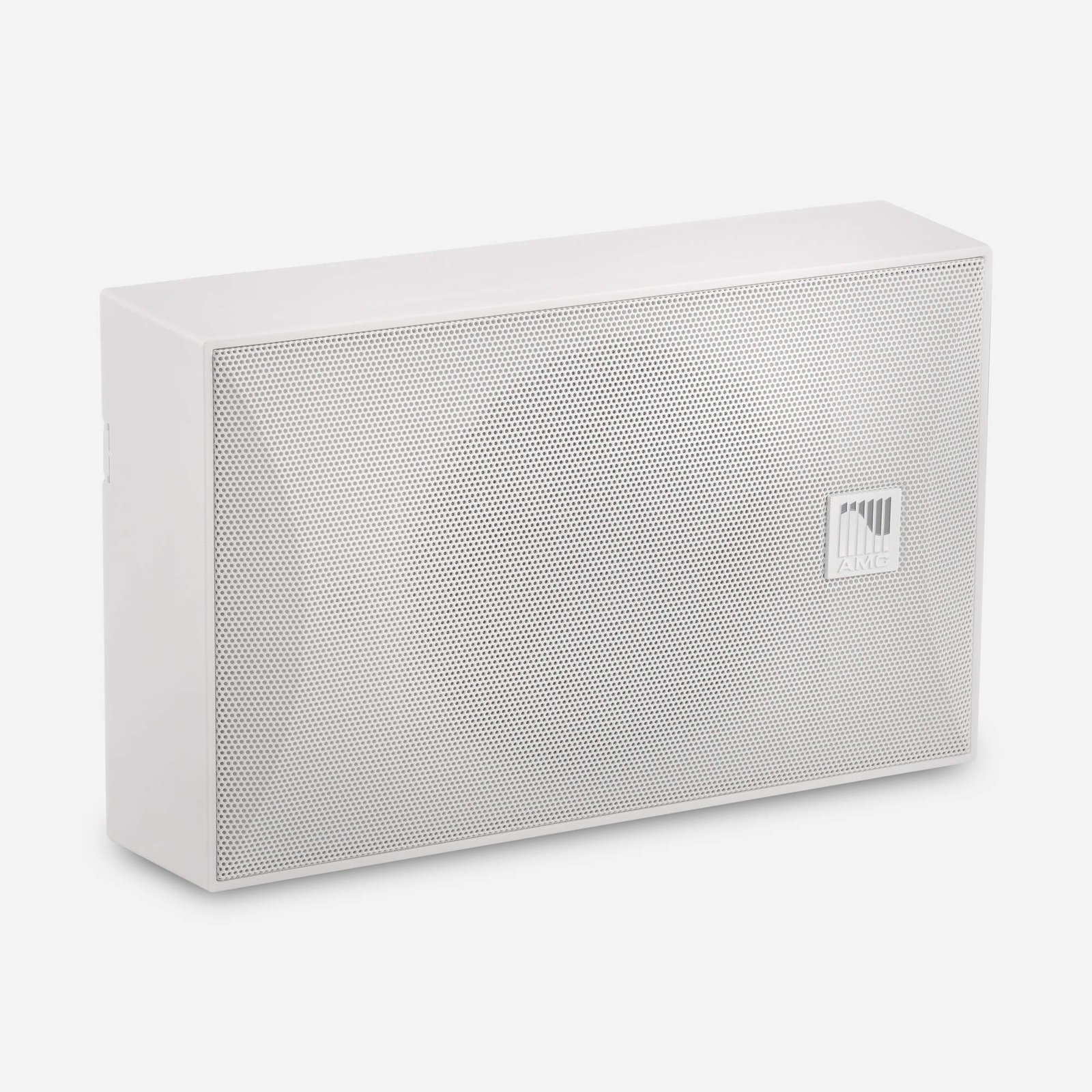 iSpeak 5 surface mount plastic loudspeaker